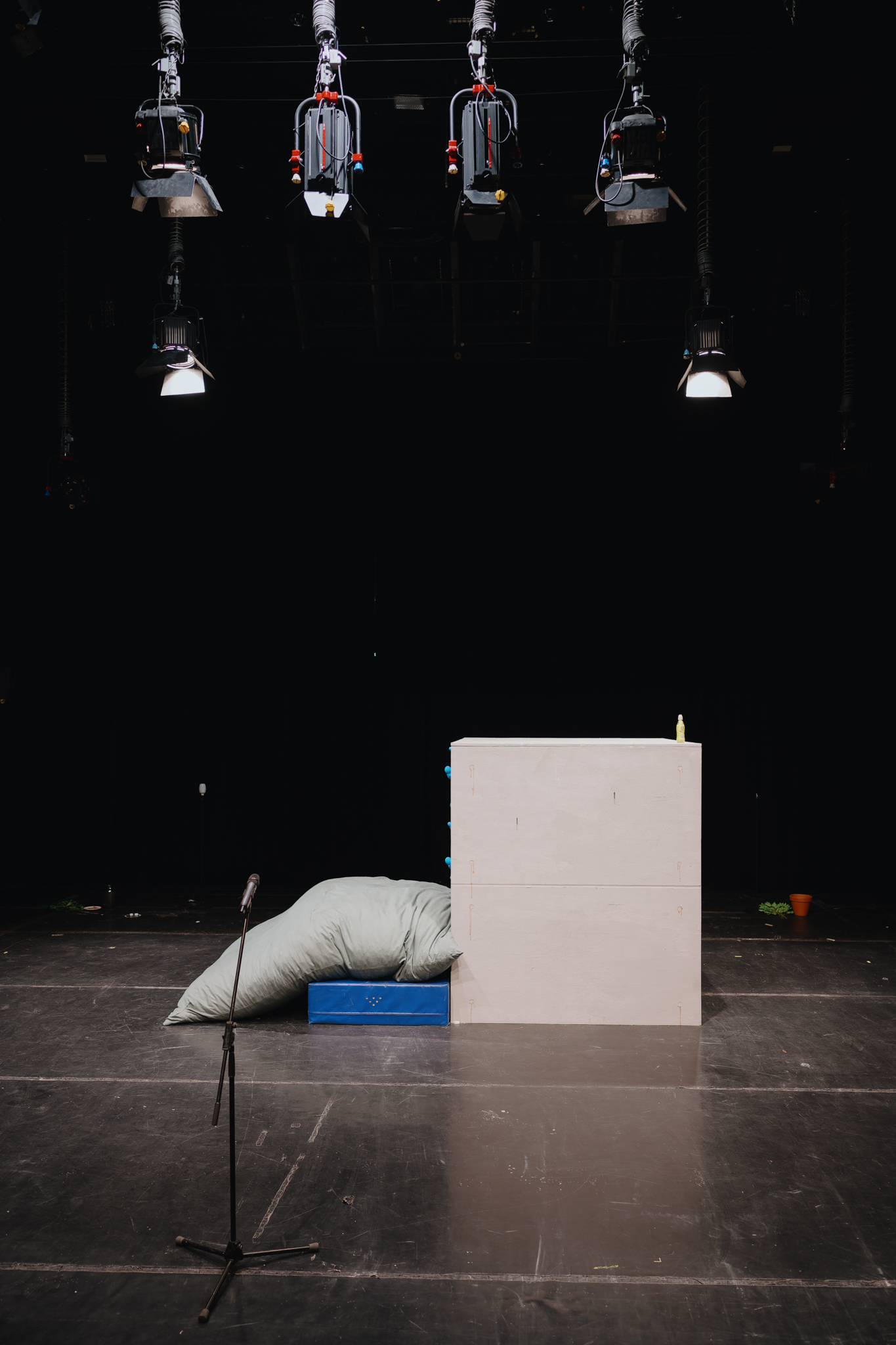 NZ6 9331 20241218 DxO DeepPRIME XD2s